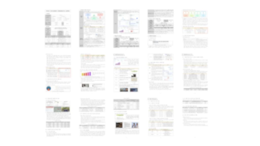 초기창업패키지 컨설팅 산출물 - 사업계획서 예시