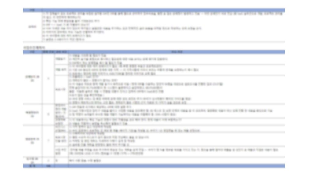 초기창업패키지 컨설팅 주요 문제 분석 및 진단 내용